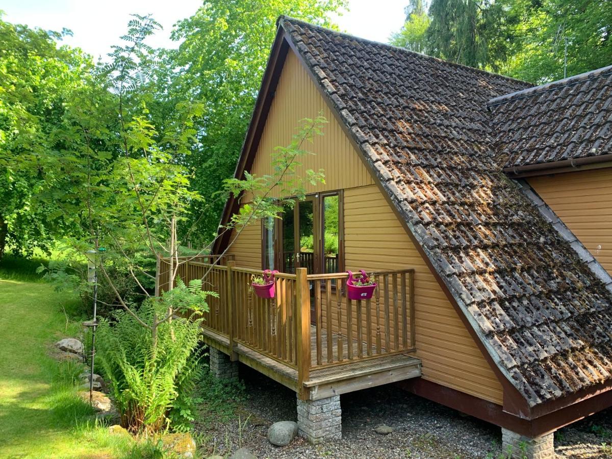 埃里克度假山林小屋 布莱尔高里 外观 照片