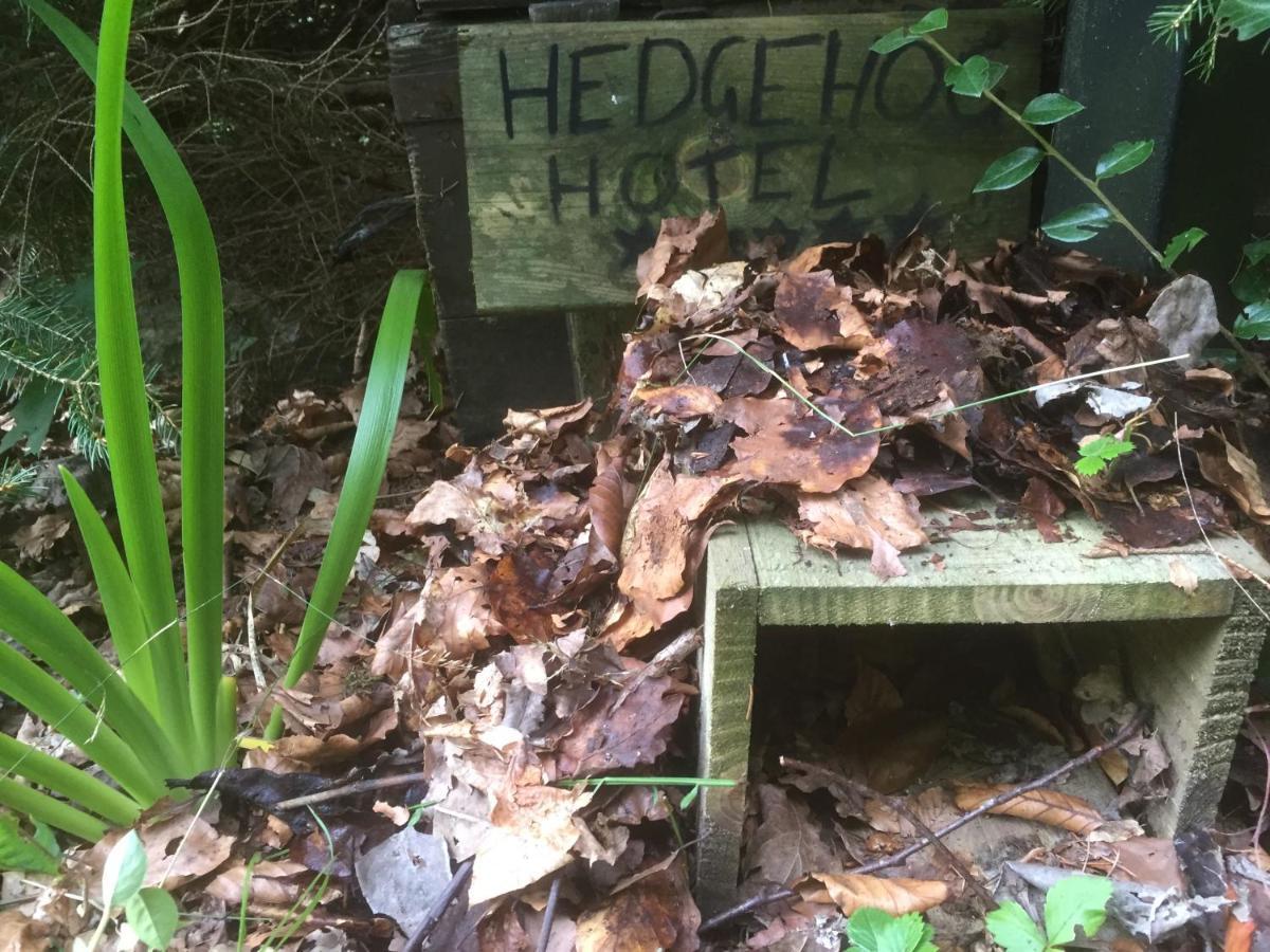 埃里克度假山林小屋 布莱尔高里 外观 照片