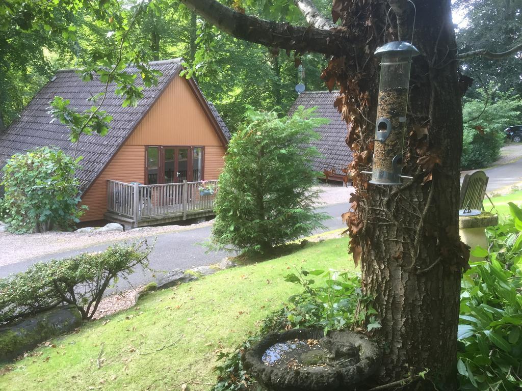 埃里克度假山林小屋 布莱尔高里 外观 照片